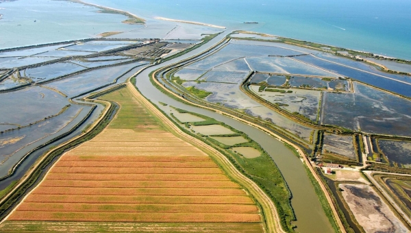 Assonautica e bonifica, idee e nuovi progetti “crescono”… sull’acqua